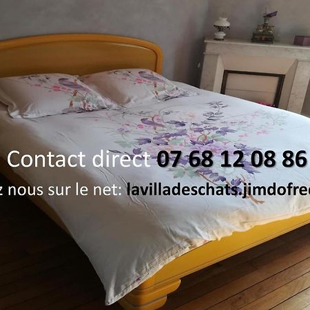 La Villa Des Chats Andresy Екстер'єр фото