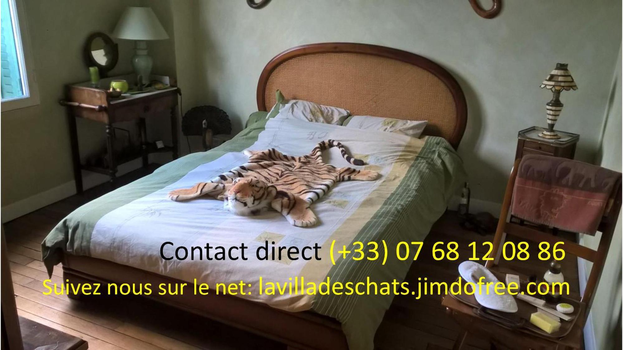 La Villa Des Chats Andresy Екстер'єр фото