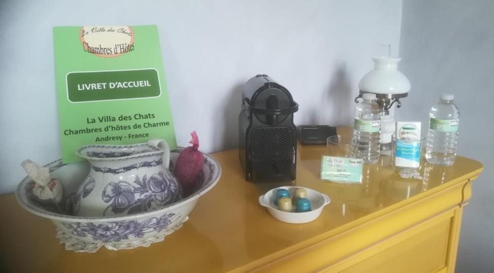 La Villa Des Chats Andresy Екстер'єр фото